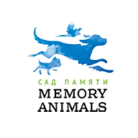 uploads/images/meman.webp